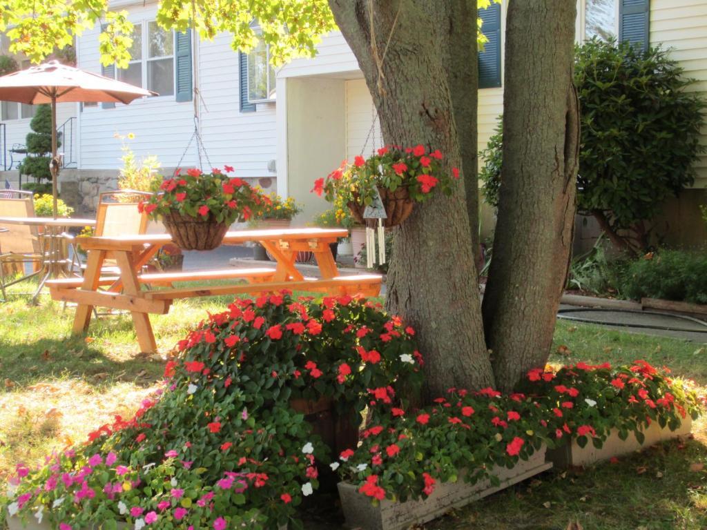 Founder'S Brook Motel And Suites Portsmouth Ngoại thất bức ảnh